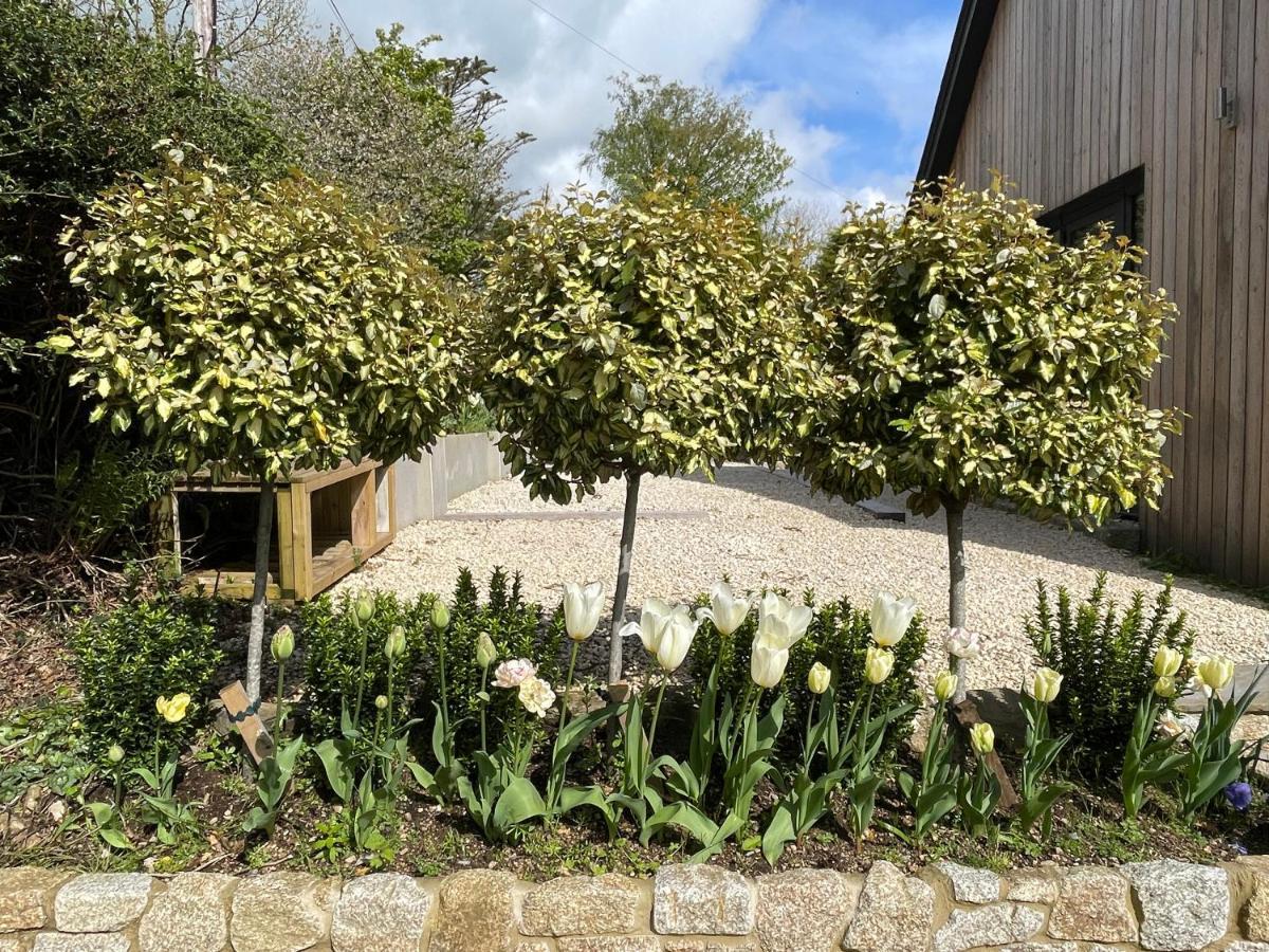 Gasthaus Cedar House Ilsington Exterior foto